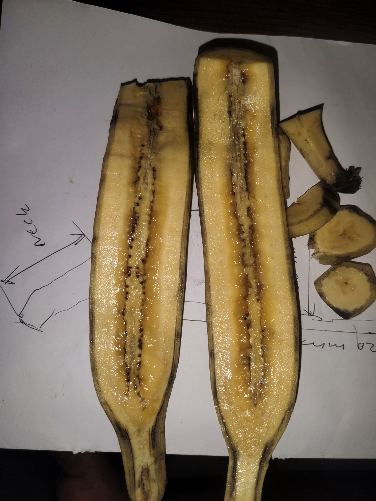 More seed counting, one nendran at a time.
