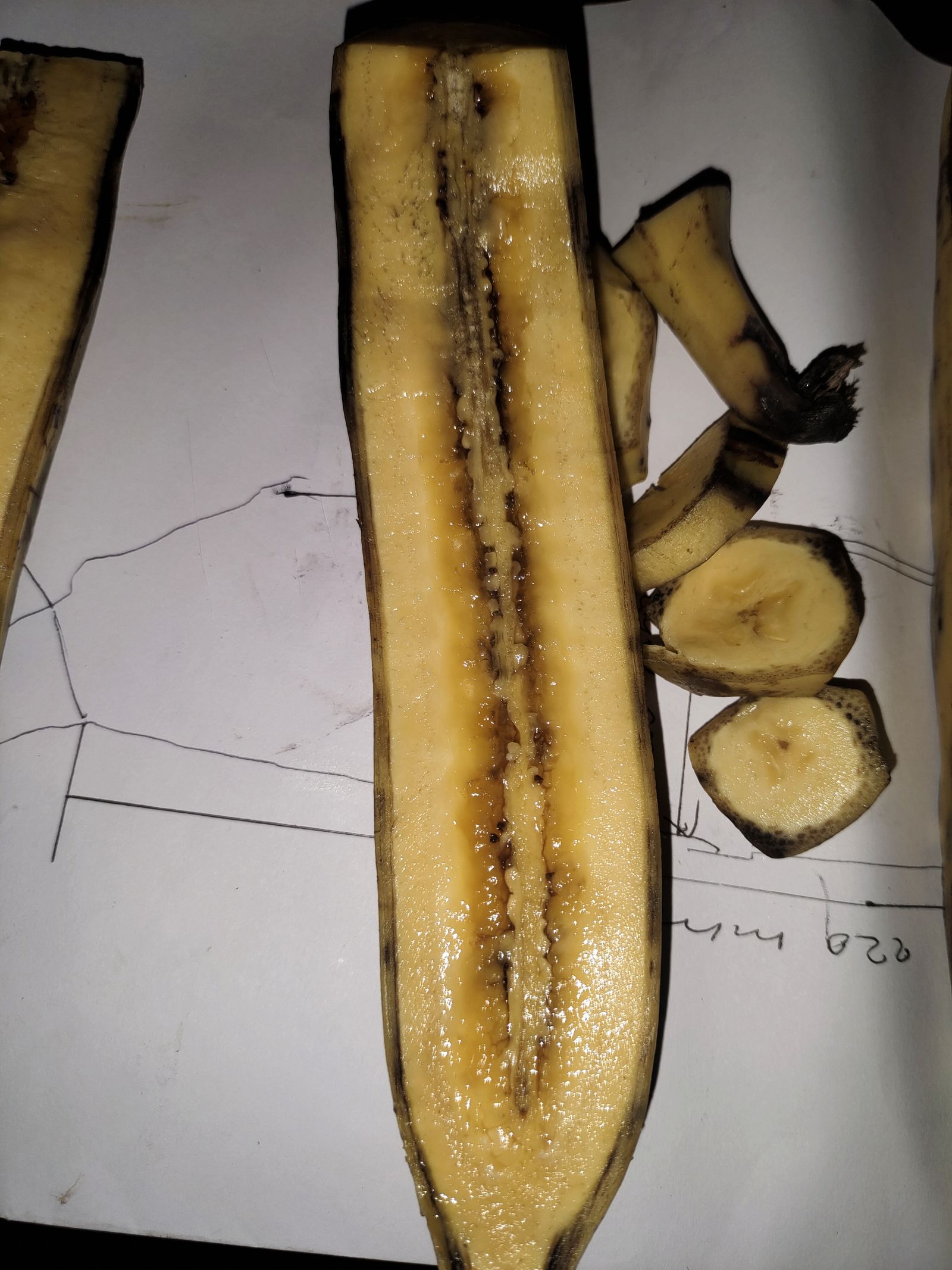 Cross-sections showing exactly how the seeds are arranged inside.